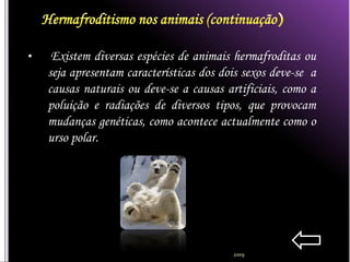 •    Existem diversas espécies de animais hermafroditas ou
    seja apresentam características dos dois sexos deve-se a
    causas naturais ou deve-se a causas artificiais, como a
    poluição e radiações de diversos tipos, que provocam
    mudanças genéticas, como acontece actualmente como o
    urso polar.




                                          2009
 