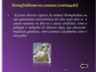 Exis tem diversas espécies de animais hermafroditas ou seja apresentam características dos dois sexos deve-se  a causas naturais ou deve-se a causas artificiais, como a poluição e radiações de diversos tipos, que provocam  mudanças genéticas, como acontece actualmente como o urso polar. 2009 