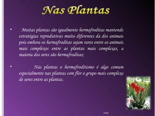 Muitas plantas são igualmente hermafroditas mantendo estratégias reprodutivas muito diferentes da dos animais pois embora os hermafroditas sejam raros entre os animais mais complexos entre as plantas mais complexas, a maioria dos seres são hermafroditas;   Nas plantas o hermafroditismo é algo comum especialmente nas plantas com flor o grupo mais complexo de seres entre as plantas. 2009 