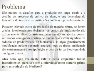 Problema
São muitos os desafios para a produção em larga escala e a
escolha do processo de cultivo de algas, o que dependerá do
fomento e do interesse de instituições públicas e privadas no tema.
Possuem elevado custo de produção da matéria prima, se forem
usados fotobiorreatores fechados, os custos de implantação são
extremamente altos, os sistemas de reservatórios abertos podem
ser usados com queda drástica de rendimento e com significativa
redução de produtividade de biomassa e as algas geneticamente
modificadas podem ser mais estáveis, mas os riscos ambientais
são extremamente altos (poluição e destruição da biodiversidade
nas águas e rios).

Mas será que realmente vale a pena empenhar tantos
investimentos para se obter a microalga como matéria prima
para a produção de biodiesel?

 