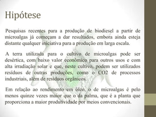 Hipótese
Pesquisas recentes para a produção de biodiesel a partir de
microalgas já começam a dar resultados, embora ainda esteja
distante qualquer iniciativa para a produção em larga escala.

A terra utilizada para o cultivo de microalgas pode ser
desértica, com baixo valor econômico para outros usos e com
alta irradiação solar e que, neste cultivo, podem ser utilizados
resíduos de outras produções, como o CO2 de processos
industriais, além de resíduos orgânicos.
Em relação ao rendimento em óleo, o de microalgas é pelo
menos quinze vezes maior que o da palma, que é a planta que
proporciona a maior produtividade por meios convencionais.

 