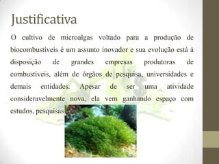 Justificativa
O cultivo de microalgas voltado para a produção de
biocombustíveis é um assunto inovador e sua evolução está à

disposição

de

grandes

empresas

produtoras

de

combustíveis, além de órgãos de pesquisa, universidades e
demais

entidades.

Apesar

de

ser

uma

atividade

consideravelmente nova, ela vem ganhando espaço com
estudos, pesquisas e investimentos.

 
