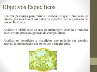 Objetivos Específicos
Realizar pesquisas para termos a certeza de que a produção de
microalgas será viável em todos os aspectos para a produção de
biocombustíveis;

Analisar a viabilidade do uso de microalgas visando a redução
de custos no processo geração de energia limpa.
Analisar os benefícios e malefícios que poderão ser gerados
através da implantação dos objetivos desta pesquisa.

 