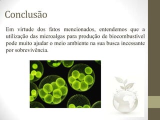 Conclusão
Em virtude dos fatos mencionados, entendemos que a
utilização das microalgas para produção de biocombustível
pode muito ajudar o meio ambiente na sua busca incessante
por sobrevivência.

 