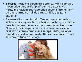 5 meses - Hoje me deram uma bronca. Minha dona se incomodou porque fiz "pipi" dentro de casa. Mas nunca me haviam ensinado onde deveria fazê-lo.Além do que, durmo no hall de entrada. Não deu para aguentar.8 meses - Sou um cão feliz! Tenho o calor de um lar; sinto-me tão seguro, tão protegido... Acho que a minha família humana me ama e me consente muitas coisas. O pátio é todinho para mim e, às vezes, me excedo, cavando na terra como meus antepassados, os lobos quando escondiam a comida. Nunca me educam. Deve ser correto tudo o que faço.
