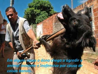 OEm alguns casos o dono chega a agredir o animal inocente e inofensivo por causa de coisas banais.