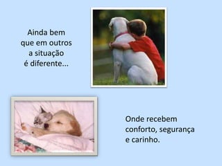Ainda bem que em outrosa situaçãoé diferente...Onde recebem conforto,segurança e carinho.
