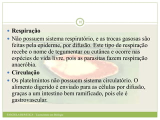 10

 Respiração
 Não possuem sistema respiratório, e as trocas gasosas são

feitas pela epiderme, por difusão. Este tipo de respiração
recebe o nome de tegumentar ou cutânea e ocorre nas
espécies de vida livre, pois as parasitas fazem respiração
anaeróbia.
 Circulação
 Os platelmintos não possuem sistema circulatório. O
alimento digerido é enviado para as células por difusão,
graças a um intestino bem ramificado, pois ele é
gastrovascular.
FASCÍOLA HEPÁTICA / Licenciatura em Biologia

 