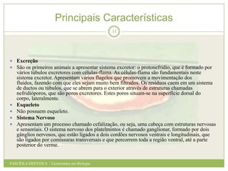 Principais Características
11

 Excreção
 São os primeiros animais a apresentar sistema excretor: o protonefrídio, que é formado por






vários túbulos excretores com células-flama. As células-flama são fundamentais neste
sistema excretor. Apresentam vários flagelos que promovem a movimentação dos
fluidos, fazendo com que eles sejam muito bem filtrados. Os resíduos caem em um sistema
de ductos ou túbulos, que se abrem para o exterior através de estruturas chamadas
nefridióporos, que são poros excretores. Estes poros situam-se na superfície dorsal do
corpo, lateralmente.
Esqueleto
Não possuem esqueleto.
Sistema Nervoso
Apresentam um processo chamado cefalização, ou seja, uma cabeça com estruturas nervosas
e sensoriais. O sistema nervoso dos platelmintos é chamado ganglionar, formado por dois
gânglios nervosos, que estão ligados a dois cordões nervosos ventrais e longitudinais, que
são ligados por comissuras transversais e que percorrem toda a região ventral, até a parte
posterior do verme.

FASCÍOLA HEPÁTICA / Licenciatura em Biologia

 
