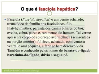 O que é

?
3

 Fascíola (Fasciola hepatica) é um verme achatado,

trematódeo da família dos fasciolídeos, filo
Platyhelminthes, parasita dos canais biliares do boi,
ovelha, cabra, porco e, raramente, do homem. Tal verme
apresenta corpo de coloração avermelhada (acinzentada
na porção anterior), foliáceo, achatado, com ventosa
ventral e oral pequena, e faringe bem desenvolvida.
Também é conhecido pelos nomes de barata-do-fígado,
baratinha-do-fígado, dúvia e saguaipé.

FASCÍOLA HEPÁTICA / Licenciatura em Biologia

 