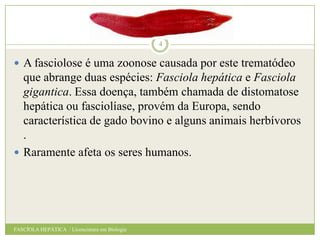 4

 A fasciolose é uma zoonose causada por este trematódeo

que abrange duas espécies: Fasciola hepática e Fasciola
gigantica. Essa doença, também chamada de distomatose
hepática ou fasciolíase, provém da Europa, sendo
característica de gado bovino e alguns animais herbívoros
.
 Raramente afeta os seres humanos.

FASCÍOLA HEPÁTICA / Licenciatura em Biologia

 
