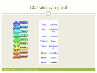 Classificação geral
6

Reino:
Filo:

Platyhelmint
hes

Classe:

Trematoda

Subclasse:

Digenea

Ordem:

Echinostomi
da

Família:

Fasciolidae

Género:

Fasciola

Espécie:

FASCÍOLA HEPÁTICA / Licenciatura em Biologia

Animalia

F. hepática

 