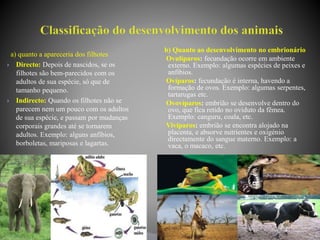 Reprodução e desenvolvimento dos animais | PPTX