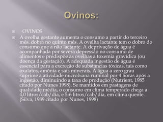 


· OVINOS
A ovelha gestante aumenta o consumo a partir do terceiro
mês, dobra no quinto mês. A ovelha lactante tem o dobro do
consumo que a não lactante. A deprivação de água é
acompanhada por severa depressão no consumo de
alimentos e predispõe as ovelhas a toxemia gravídica (ou
doença da gestação). A adequada ingestão de água é
essencial para a excreção de substancias tóxicas, tais como
oxalatos, amônia e sais minerais. A água a zero grau
suprime a atividade microbiana ruminal por 4 horas após a
ingestão, diminuindo a taxa de produção (Nutrient, 1985
citado por Nunes 1998). Se mantidos em pastagens de
qualidade média, o consumo em clima temperado chega a
4,0 litros/cab/dia, e 5-6 litros/cab/dia, em clima quente.
(Silva, 1989 citado por Nunes, 1998)

 