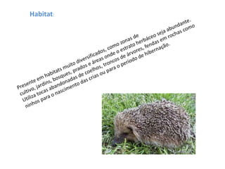 Habitat: Presente em habitats muito diversificados, como zonas de cultivo, jardins, bosques, prados e áreas onde o estrato herbáceo seja abundante. Utiliza tocas abandonadas de coelhos, troncos de árvores, fendas em rochas como ninhos para o nascimento das crias ou para o período de hibernação. 