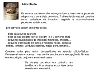 AlimentaçãoOs ouriços cacheiros são monogástricos e insectívoros podendo adaptar-se a uma dieta omnivora. A alimentação natural consiste numa variedade de insectos, vegetais e ocasionalmente pequenos vertebrados. Em cativeiro podem alimentar-se de:- dieta para ouriço cacheiro- dieta de cão ou gato low-fat ou light (1 a 2 colheres chá)- pequenas quantidades de insectos: minhocas, crickets,...- pequena quantidade de frutos e vegetais (feijão, cenoura cozida, tomates, verduras escuras, maça, pêra, banana,...)Convém variar para evitar desequilíbrios na relação cálcio-fósforo.Deve-se alimentar apenas 1 vez ao dia, à noite, com execepção de fêmeas em reprodução ou jovens em crescimentoOs ouriços cacheiros em cativeiro tem tendência a ficar obesos e por isso deve-se estimular o exercício