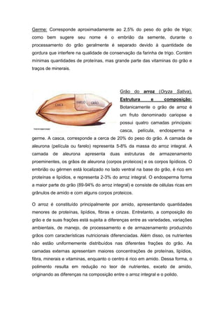 Germe: Corresponde aproximadamente ao 2,5% do peso do grão de trigo;
como bem sugere seu nome é o embrião da semente, durante o
processamento do grão geralmente é separado devido à quantidade de
gordura que interfere na qualidade de conservação da farinha de trigo. Contém
mínimas quantidades de proteínas, mas grande parte das vitaminas do grão e
traços de minerais.




                                              Grão do arroz (Oryza Sativa).
                                              Estrutura      e      composição:
                                              Botanicamente o grão de arroz é
                                              um fruto denominado cariopse e
                                              possui quatro camadas principais:
                                              casca,   película,   endosperma   e
germe. A casca, corresponde a cerca de 20% do peso do grão. A camada de
aleurona (película ou farelo) representa 5-8% da massa do arroz integral. A
camada    de   aleurona   apresenta    duas     estruturas   de    armazenamento
proeminentes, os grãos de aleurona (corpos proteicos) e os corpos lipídicos. O
embrião ou gérmen está localizado no lado ventral na base do grão, é rico em
proteínas e lipídios, e representa 2-3% do arroz integral. O endosperma forma
a maior parte do grão (89-94% do arroz integral) e consiste de células ricas em
grânulos de amido e com alguns corpos proteicos.

O arroz é constituído principalmente por amido, apresentando quantidades
menores de proteínas, lipídios, fibras e cinzas. Entretanto, a composição do
grão e de suas frações está sujeita a diferenças entre as variedades, variações
ambientais, de manejo, de processamento e de armazenamento produzindo
grãos com características nutricionais diferenciadas. Além disso, os nutrientes
não estão uniformemente distribuídos nas diferentes frações do grão. As
camadas externas apresentam maiores concentrações de proteínas, lipídios,
fibra, minerais e vitaminas, enquanto o centro é rico em amido. Dessa forma, o
polimento resulta em redução no teor de nutrientes, exceto de amido,
originando as diferenças na composição entre o arroz integral e o polido.
 