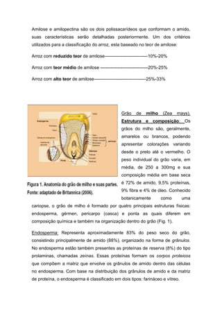 Amilose e amilopectina são os dois polissacarídeos que conformam o amido,
suas características serão detalhadas posteriormente. Um dos critérios
utilizados para a classificação do arroz, esta baseado no teor de amilose:

Arroz com reduzido teor de amilose-----------------------------10%-20%

Arroz com teor médio de amilose --------------------------------20%-25%

Arroz com alto teor de amilose-----------------------------------25%-33%




                                                Grão    de   milho    (Zea   mays).
                                                Estrutura    e   composição:    Os
                                                grãos do milho são, geralmente,
                                                amarelos ou brancos, podendo
                                                apresentar colorações variando
                                                desde o preto até o vermelho. O
                                                peso individual do grão varia, em
                                                média, de 250 a 300mg e sua
                                                composição média em base seca
                                                é 72% de amido, 9,5% proteínas,
                                                9% fibra e 4% de óleo. Conhecido
                                                botanicamente        como      uma
cariopse, o grão de milho é formado por quatro principais estruturas físicas:
endosperma, gérmen, pericarpo (casca) e ponta as quais diferem em
composição química e também na organização dentro do grão (Fig. 1).

Endosperma: Representa aproximadamente 83% do peso seco do grão,
consistindo principalmente de amido (88%), organizado na forma de grânulos.
No endosperma estão também presentes as proteínas de reserva (8%) do tipo
prolaminas, chamadas zeínas. Essas proteínas formam os corpos proteicos
que compõem a matriz que envolve os grânulos de amido dentro das células
no endosperma. Com base na distribuição dos grânulos de amido e da matriz
de proteína, o endosperma é classificado em dois tipos: farináceo e vítreo.
 