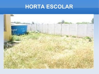 HORTA ESCOLAR 