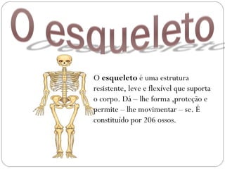 O esqueleto é uma estrutura
resistente, leve e flexível que suporta
o corpo. Dá – lhe forma ,proteção e
permite – lhe movimentar – se. É
constituído por 206 ossos.
 