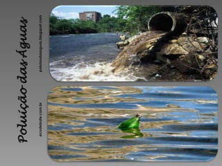 ecodebate.com.br   poluiaodasaguas.blogspot.com
 