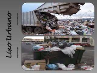 amon.com.br   infoescola.com
 