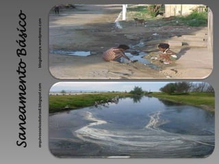 arquivososriosdobrasil.blogspot.com   blogdoonyx.wordpress.com
 