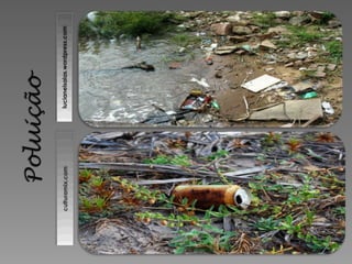 culturamix.com   lucianeisaias.wordpress.com
 