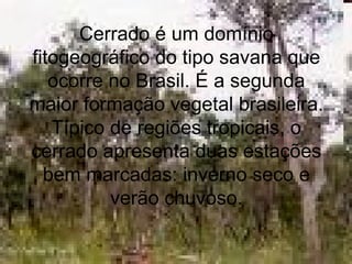 Cerrado é um domínio
fitogeográfico do tipo savana que
ocorre no Brasil. É a segunda
maior formação vegetal brasileira.
Típico de regiões tropicais, o
cerrado apresenta duas estações
bem marcadas: inverno seco e
verão chuvoso.
 