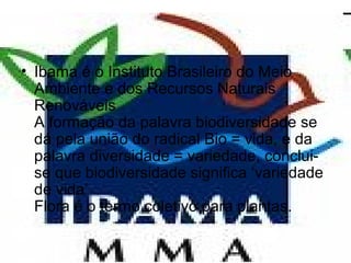 • Ibama é o Instituto Brasileiro do Meio
Ambiente e dos Recursos Naturais
Renováveis
A formação da palavra biodiversidade se
dá pela união do radical Bio = vida, e da
palavra diversidade = variedade, conclui-
se que biodiversidade significa ‘variedade
de vida’
Flora é o termo coletivo para plantas.
 
