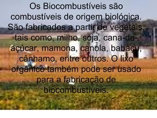 Os Biocombustíveis são
combustíveis de origem biológica.
São fabricados a partir de vegetais,
tais como, milho, soja, cana-de-
açúcar, mamona, canola, babaçu,
cânhamo, entre outros. O lixo
orgânico também pode ser usado
para a fabricação de
biocombustíveis.
 