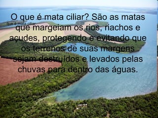 O que é mata ciliar? São as matas
que margeiam os rios, riachos e
açudes, protegendo e evitando que
os terrenos de suas margens
sejam destruídos e levados pelas
chuvas para dentro das águas.
que é mata ciliar
 