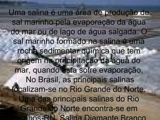 Uma salina é uma área de produção de
sal marinho pela evaporação da água
do mar ou de lago de água salgada. O
sal marinho formado na salina é uma
rocha sedimentar química que tem
origem na precipitação da água do
mar, quando esta sofre evaporação.
No Brasil, as principais salinas
localizam-se no Rio Grande do Norte.
Uma das principais salinas do Rio
Grande do Norte encontra-se em
 