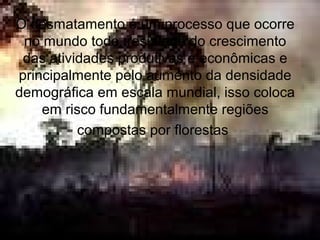 O desmatamento é um processo que ocorre
no mundo todo, resultado do crescimento
das atividades produtivas e econômicas e
principalmente pelo aumento da densidade
demográfica em escala mundial, isso coloca
em risco fundamentalmente regiões
compostas por florestas
 
