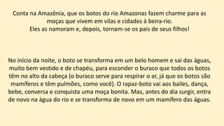 Conta na Amazônia, que os botos do rio Amazonas fazem charme para as
moças que vivem em vilas e cidades à beira-rio.
Eles as namoram e, depois, tornam-se os pais de seus filhos!
No início da noite, o boto se transforma em um belo homem e sai das águas,
muito bem vestido e de chapéu, para esconder o buraco que todos os botos
têm no alto da cabeça (o buraco serve para respirar o ar, já que os botos são
mamíferos e têm pulmões, como você). O rapaz-boto vai aos bailes, dança,
bebe, conversa e conquista uma moça bonita. Mas, antes do dia surgir, entra
de novo na água do rio e se transforma de novo em um mamífero das águas.
 