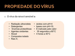 • Radiação ultravioleta
• Detergentes
• Enzimas proteolíticas
• Agentes oxidantes
• Álcool
• Compostos iodado
• Raio X.
• ácidos com pH<4
• bases com pH>10.
• É inativado pelo calor:
• 35 segundos a 60°C
• 4 horas a 40°C
o O vírus da raiva é sensível a:
 