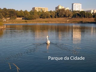 Parque da Cidade   