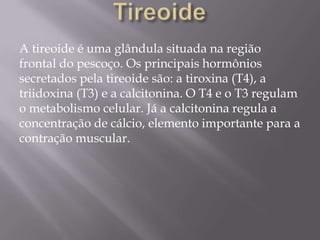 A tireoide é uma glândula situada na região
frontal do pescoço. Os principais hormônios
secretados pela tireoide são: a tiroxina (T4), a
triidoxina (T3) e a calcitonina. O T4 e o T3 regulam
o metabolismo celular. Já a calcitonina regula a
concentração de cálcio, elemento importante para a
contração muscular.
 