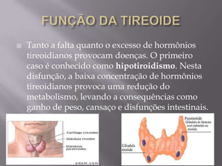    Tanto a falta quanto o excesso de hormônios
    tireoidianos provocam doenças. O primeiro
    caso é conhecido como hipotiroidismo. Nesta
    disfunção, a baixa concentração de hormônios
    tireoidianos provoca uma redução do
    metabolismo, levando a consequências como
    ganho de peso, cansaço e disfunções intestinais.
 