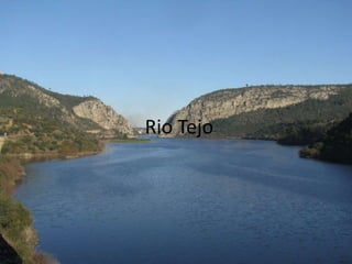 Rio Tejo

 