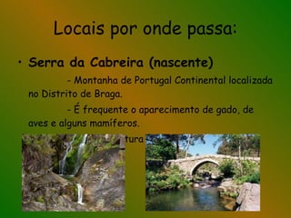 Locais por onde passa: Serra da Cabreira (nascente) - Montanha de Portugal Continental localizada no Distrito de Braga. - É frequente o aparecimento de gado, de aves e alguns mamíferos. - Tem uma altura máxima de 1286 metros 