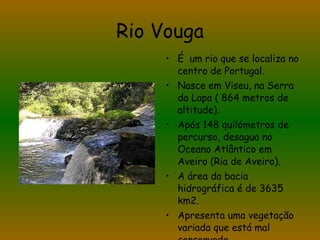 Rio Vouga É  um rio que se localiza no centro de Portugal. Nasce em Viseu, na Serra da Lapa ( 864 metros de altitude). Após 148 quilómetros de percurso, desagua no Oceano Atlântico em Aveiro (Ria de Aveiro). A área da bacia hidrográfica é de 3635 km2. Apresenta uma vegetação variada que está mal conservada. 