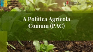 A Política Agrícola
Comum (PAC)
 