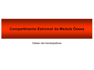 Compartimento Estromal da Medula Óssea
Células não hematopoéticas
 