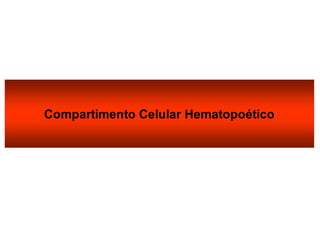 Compartimento Celular Hematopoético
 