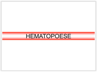 HEMATOPOESE
 