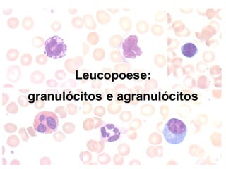 Leucopoese:
granulócitos e agranulócitos
 