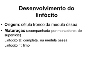 Desenvolvimento do
linfócito
• Origem: célula tronco da medula óssea
• Maturação (acompanhada por marcadores de
superfície)
Linfócito B: completa, na medula óssea
Linfócito T: timo
 