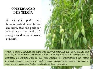 CONSERVAÇÃO
DE ENERGIA
A energia pode ser
transformada de uma forma
em outra, mas não pode ser
criada nem destruída. A
energia total do universo é
constante.

A manga presa a uma árvore armazena energia potencial gravitacional. Ao cair
no chão, pode-se ter a impressão de que a energia potencial armazenada foi
destruída, no entanto sabe-se que essa energia foi transformada em outras
formas de energia, como por exemplo, energia sonora (som emiti do ao tocar no
chão) e energia térmica (calor produzido ao tocar no chão).

 