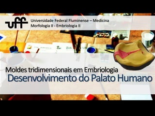 Universidade Federal Fluminense – MedicinaMorfologia II - Embriologia II  Moldes tridimensionais em Embriologia Desenvolvimento do Palato Humano 